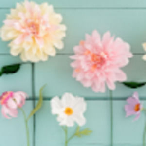 Meet your Posher, Sydney